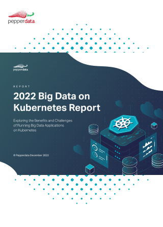 TechDogs-2022 Big Data On Kubernetes Report