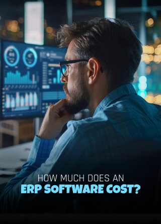 TechDogs-"How Much Does An ERP Software Cost?"