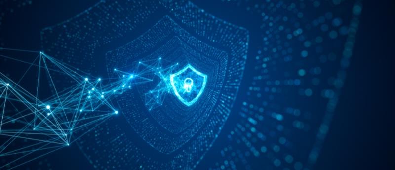 Business Owners Key Considerations for Selecting Veeva Vault Connectors