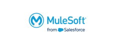 MuleSoft Anypoint Platform