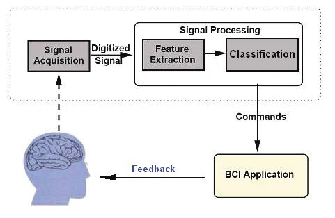 TechDogs-"How Does A Brain Computer Interface (BCI) Work?"-"Image Of Block Diagram Of A BCI System"