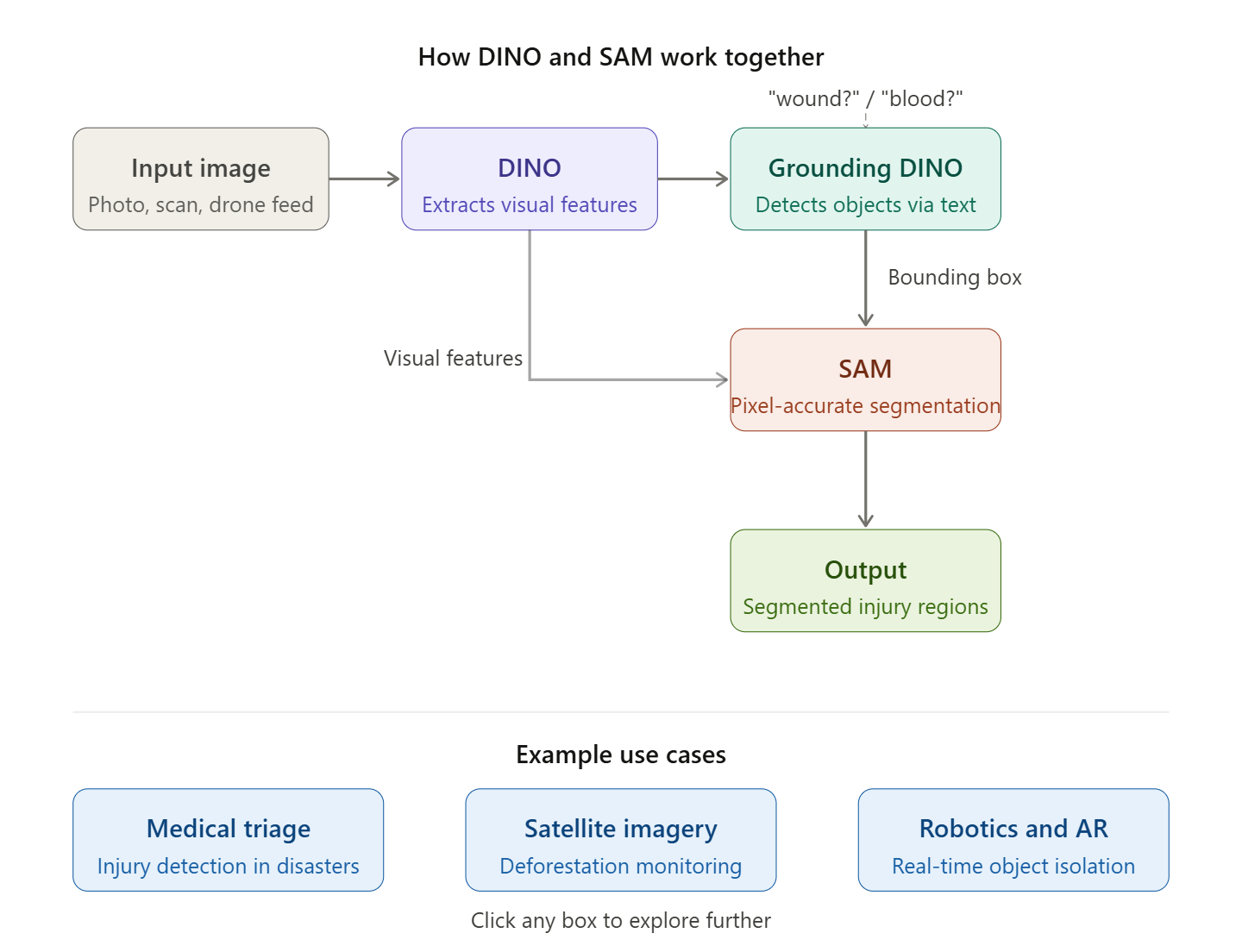 TechDogs-"How DINO And SAM Work Together?"-"A Diagram Of How DINO And SAM Work Together"