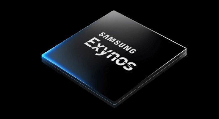 TechDogs-"Samsung May Not Be Choosing One Chip"-"Image Of Exynos"