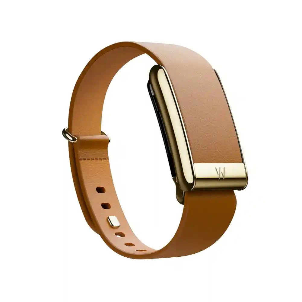 TechDogs-"Why Would Apple Remove The Screen?"-"An Image Showing Whoop Fitness Band"