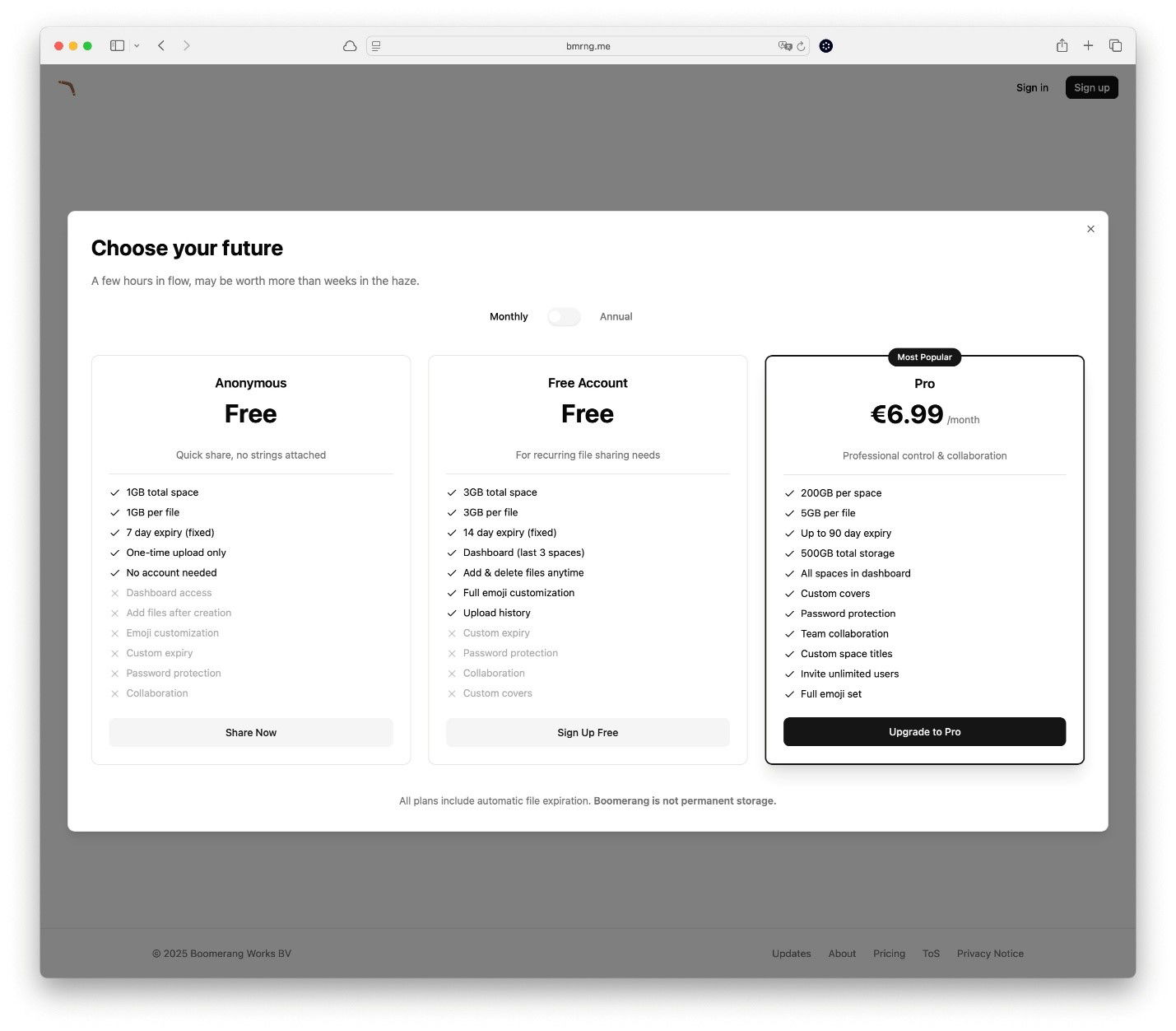 TechDogs-"A Screenshot Of Boomerang Pricing Details"