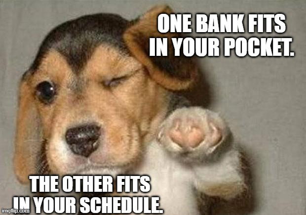 TechDogs-"Neobanks Vs Traditional Banks: A Side-By-Side Comparison"-"A Meme Of Winking Puppy With A Text, Comparing Neobank Vs. Traditional Bank"