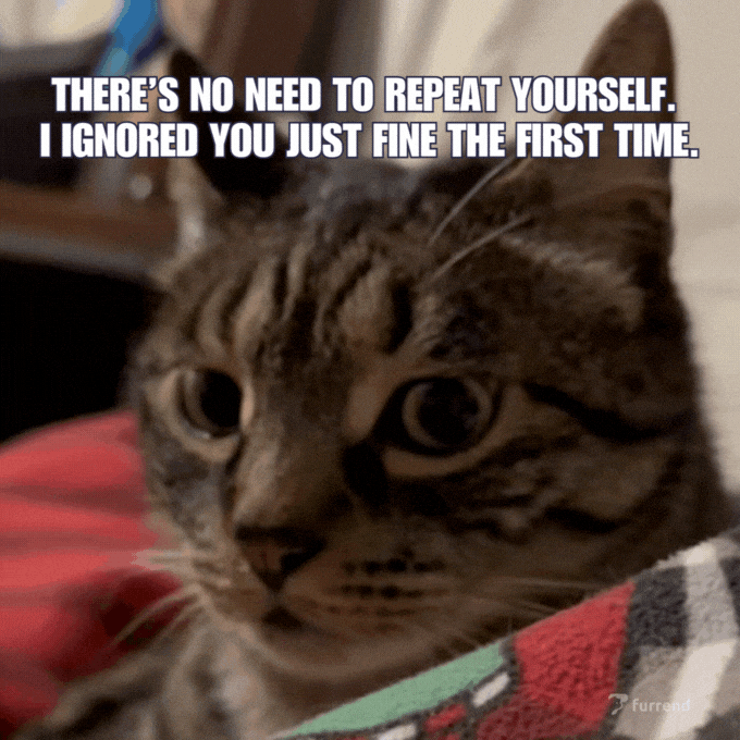 TechDogs-"Why Did YouTube Change Its Repetitious Content Policy?"-"A Gif Of A Cat With The Text - There’s No Need To Repeat Yourself. I Ignored You Just Fine The First Time"
