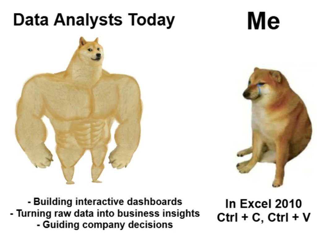 TechDogs-"Advantages Of Learning Data Skills In 2026"-"A Meme Image Depicting Professional Data Analysts Vs Amateur Ones"