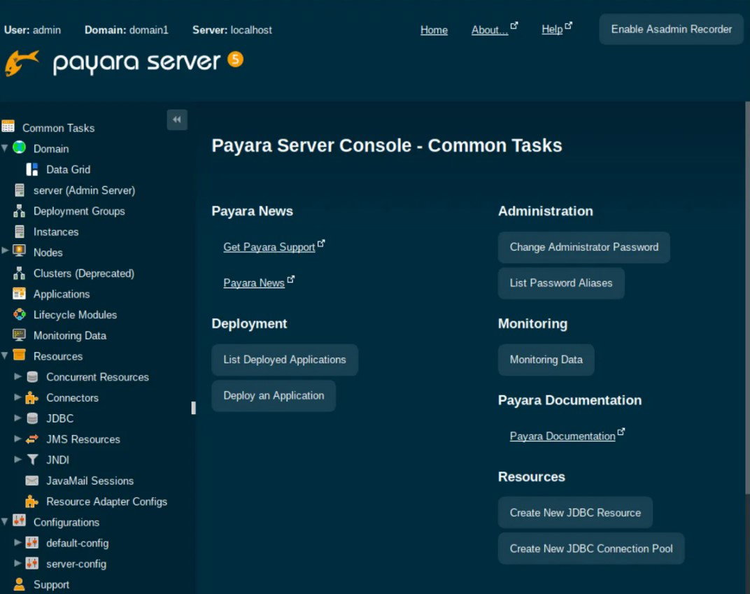 TechDogs-"Payara Server: Best for Security"-"Screenshot Of Payara Server Dashboard"