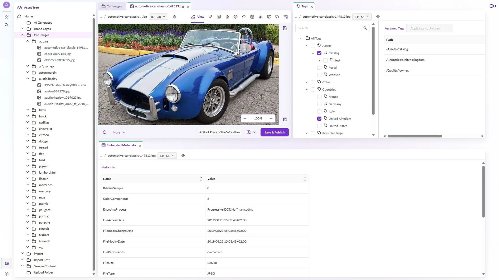 TechDogs-"Pimcore: Best Customization"-"An Image Of The Assets Tab On The Pimcore Platform"