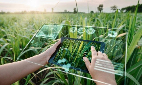 TechDogs-"AI Helps Farmers Increase Productivity"-"AI In Farming"