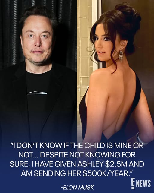 TechDogs-"Elon Musk and Ashley St Clair with quote about financial support and child relationship."