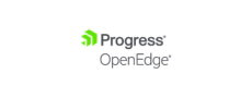 Progress OpenEdge Progress OpenEdge