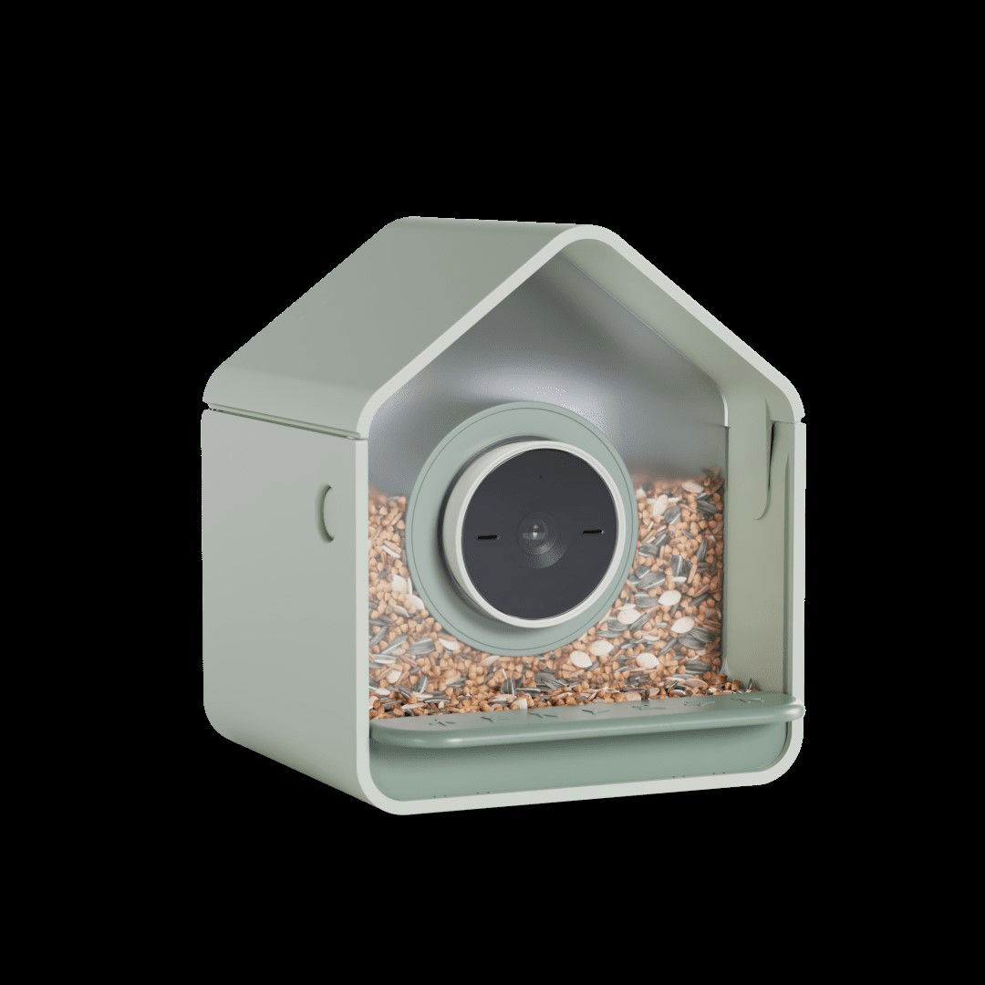 TechDogs-"Birdbuddy’s New Smart Feeders Make Birdwatching Easier"-"An Image Showing Birdbuddy’s New Smart Feeder"