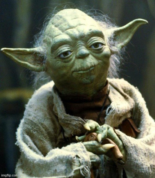 TechDogs-"How Do Next-Generation Network Operates?-"A Meme With Yoda Asking How Next-Gen Networks Work"