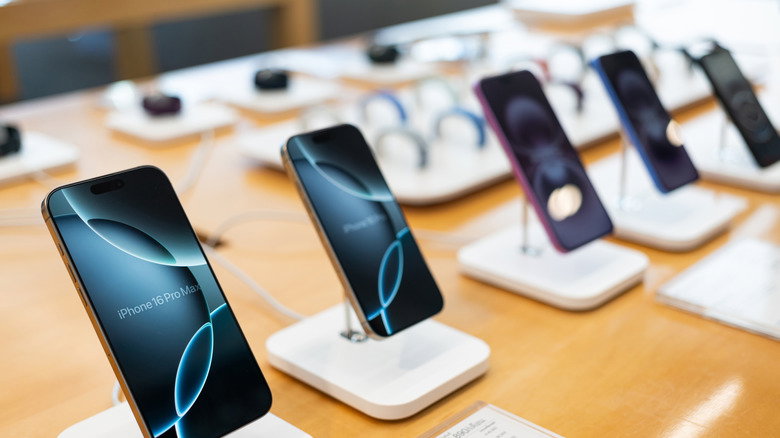 TechDogs-"An Image Of Apple iPhone 16 Smartphones"