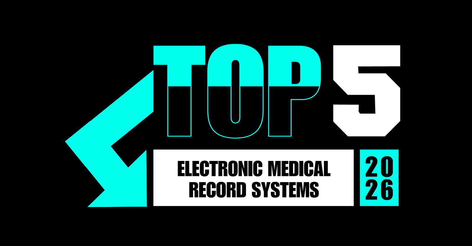 TechDogs-"Top 5 Electronic Medical Record Systems In 2026"