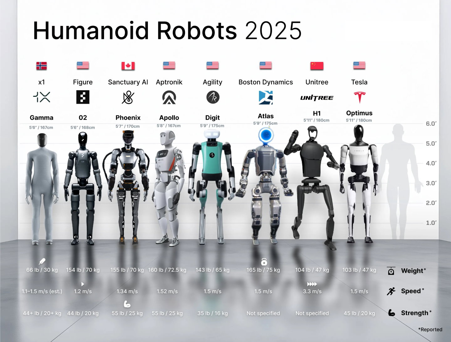 TechDogs-"An Image Of The Top Humanoid Robots Of 2025"