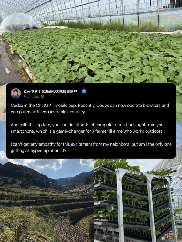 TechDogs - "A Screenshot Of A Post By Japanese Farmer Hiroki Tomiyasu Sharing His Excitement About ChatGPT Codex"