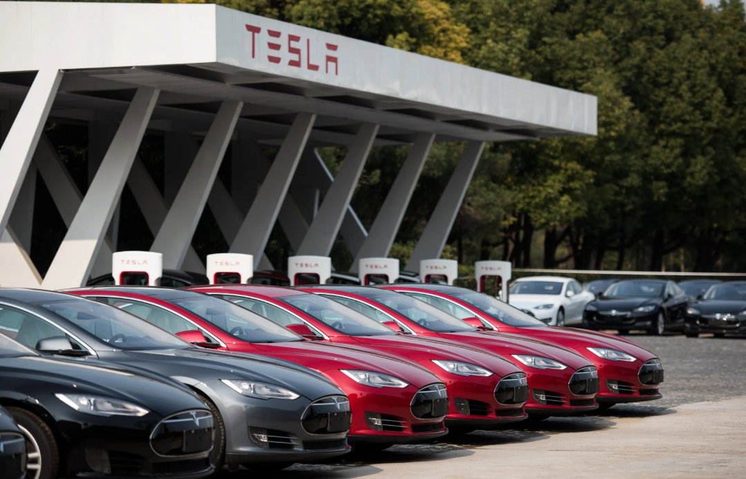 TechDogs-"An Image Of Various Tesla Vehicles"