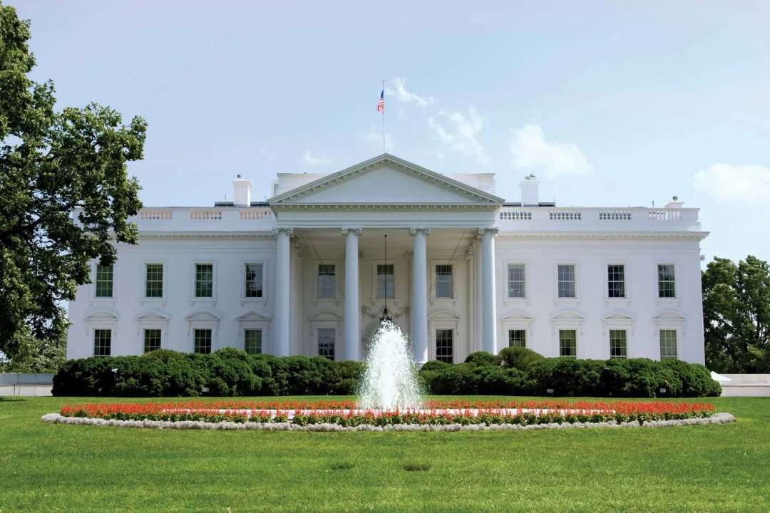 TechDogs-"An Image Of The White House"