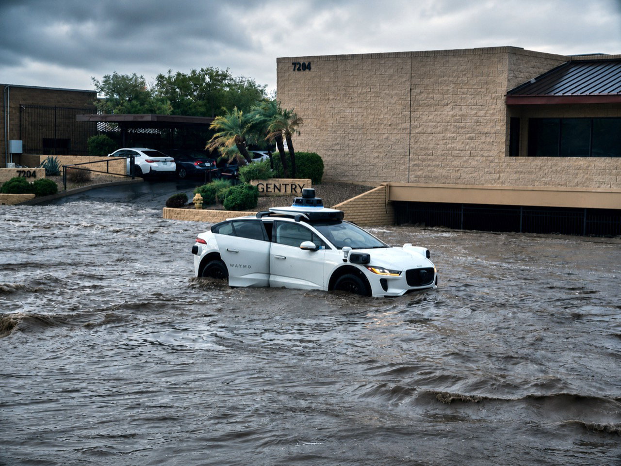 TechDogs-"An Image Of A Waymo Robotaxi Driving Into Flood Waters"