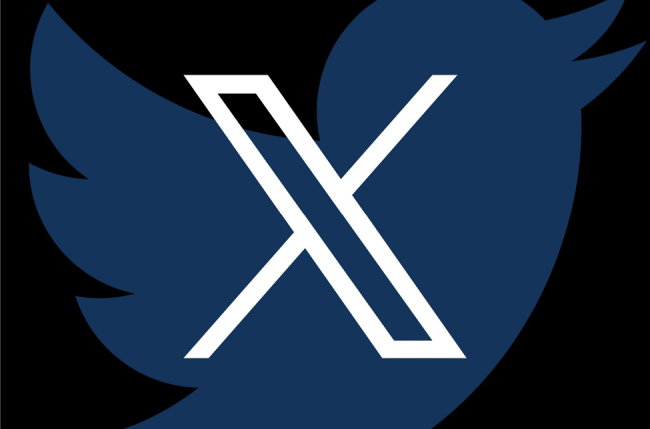 TechDogs - "An Image Showing The Former Twitter Bird Logo With The New X Logo"